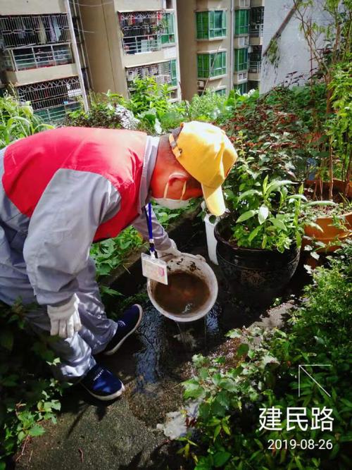 中亿远环保科技与中亿昊天科技联合开展南湾街道病媒生物防治工作