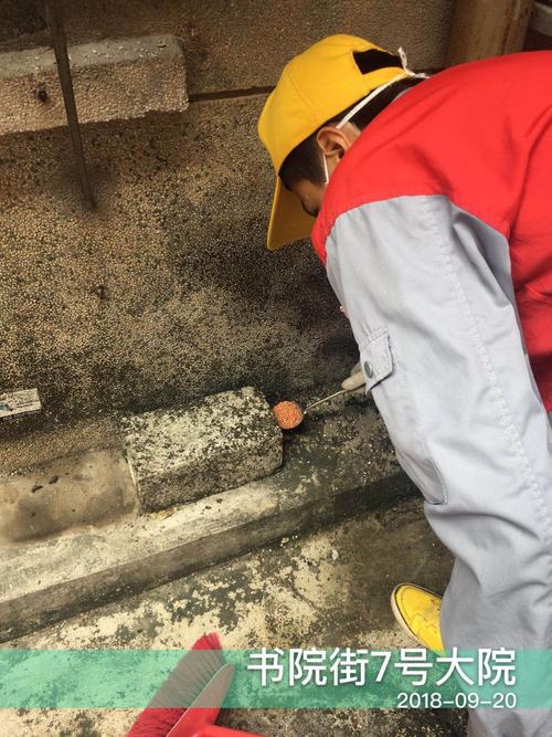 政企协同筑牢健康防线 中亿远环保科技东门街道病媒生物防治实践