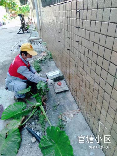 中亿远环保科技南湾街道病媒生物防治纪实