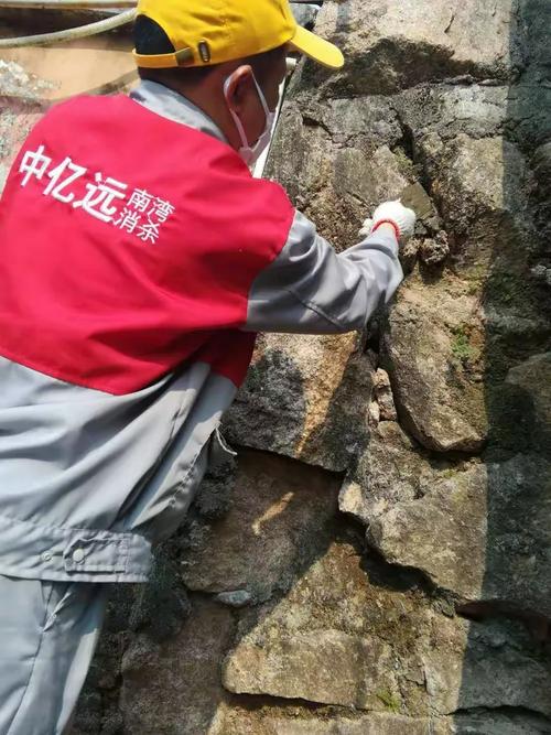 深圳市中亿远环保科技有限责任公司南湾街道病媒防治工作纪实（2019年3月19日）